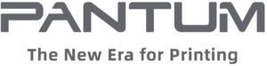 Logo Pantum Gris The New Era